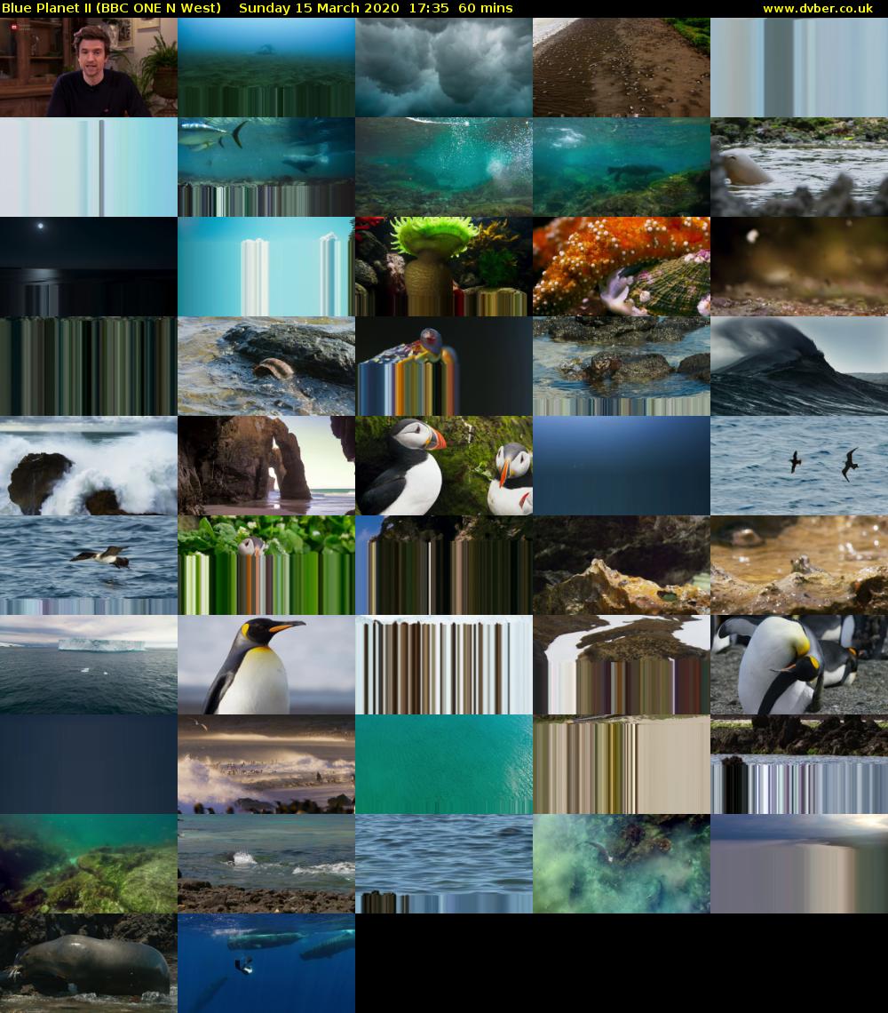 Blue Planet II (BBC ONE N West) Sunday 15 March 2020 17:35 - 18:35