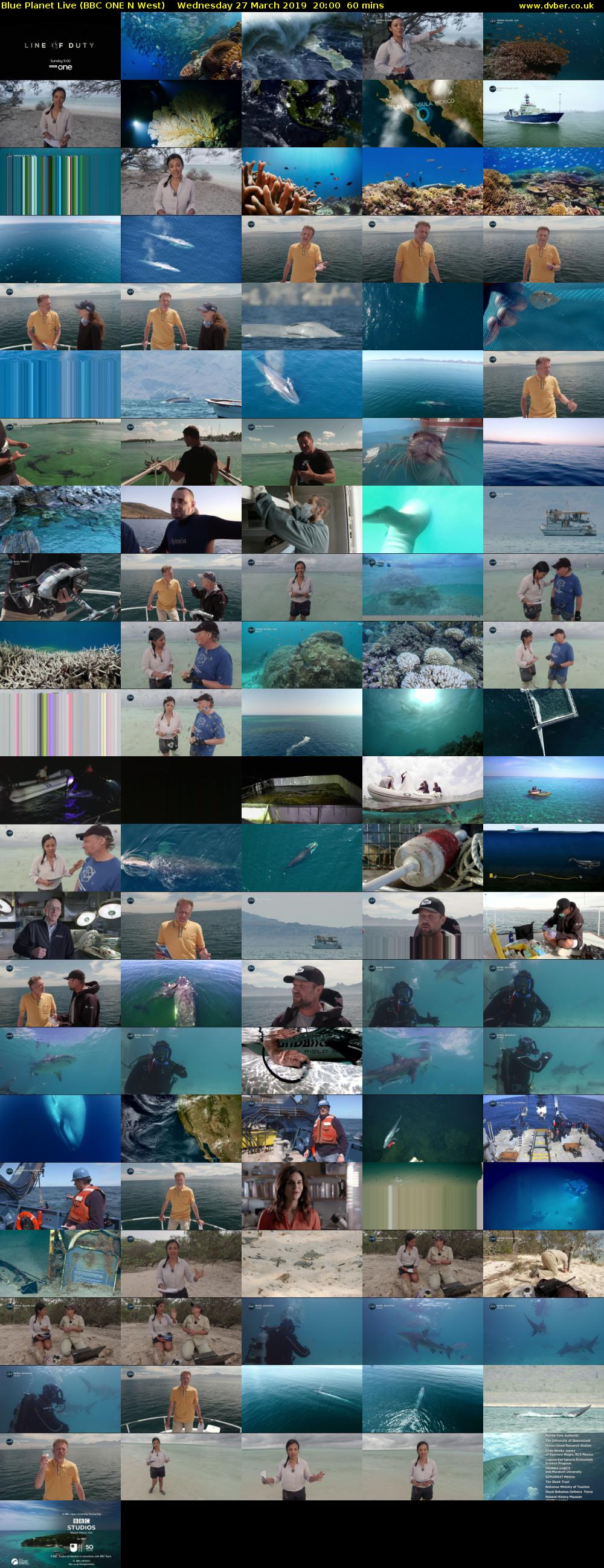 Blue Planet Live (BBC ONE N West) Wednesday 27 March 2019 20:00 - 21:00