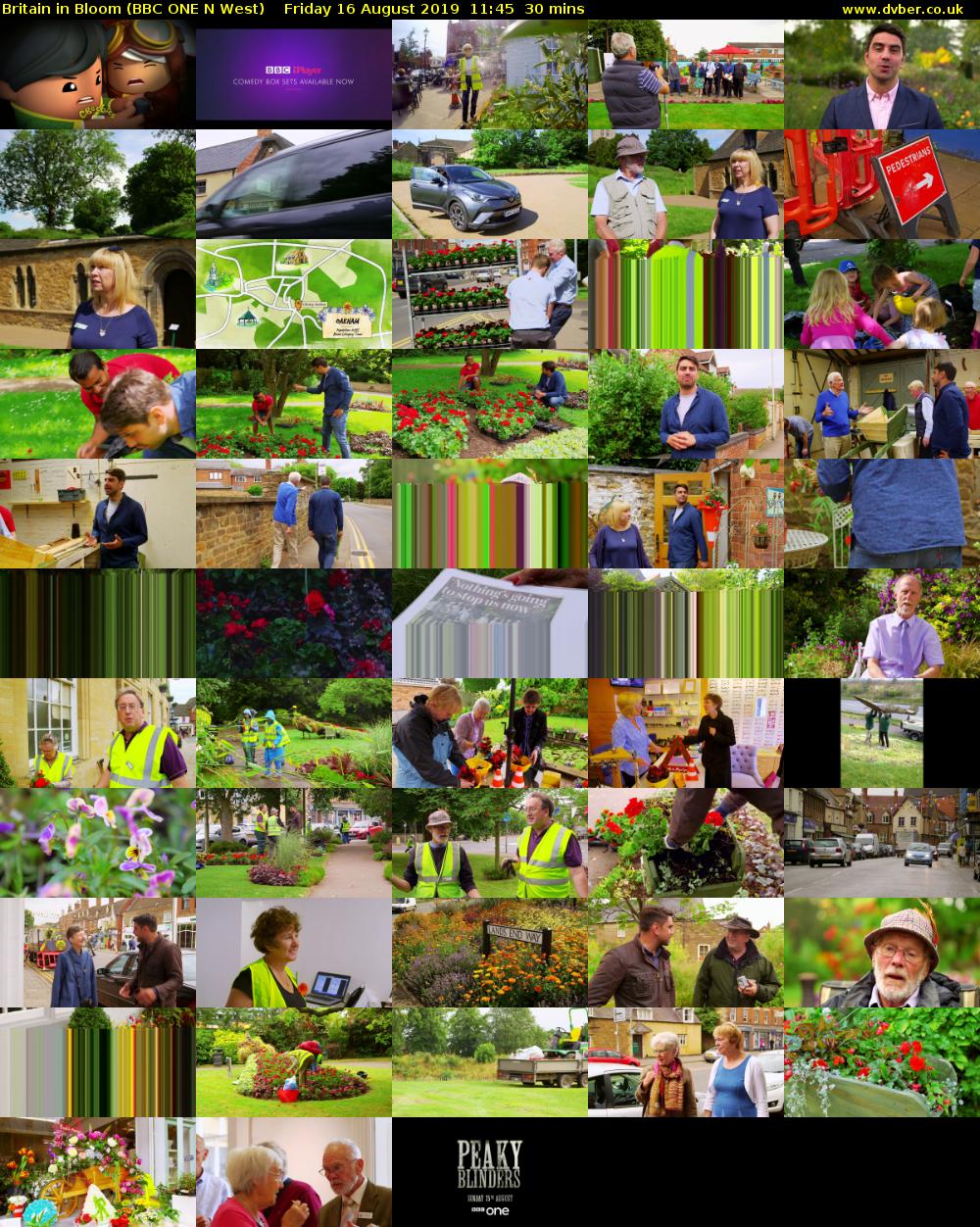Britain in Bloom (BBC ONE N West) Friday 16 August 2019 11:45 - 12:15