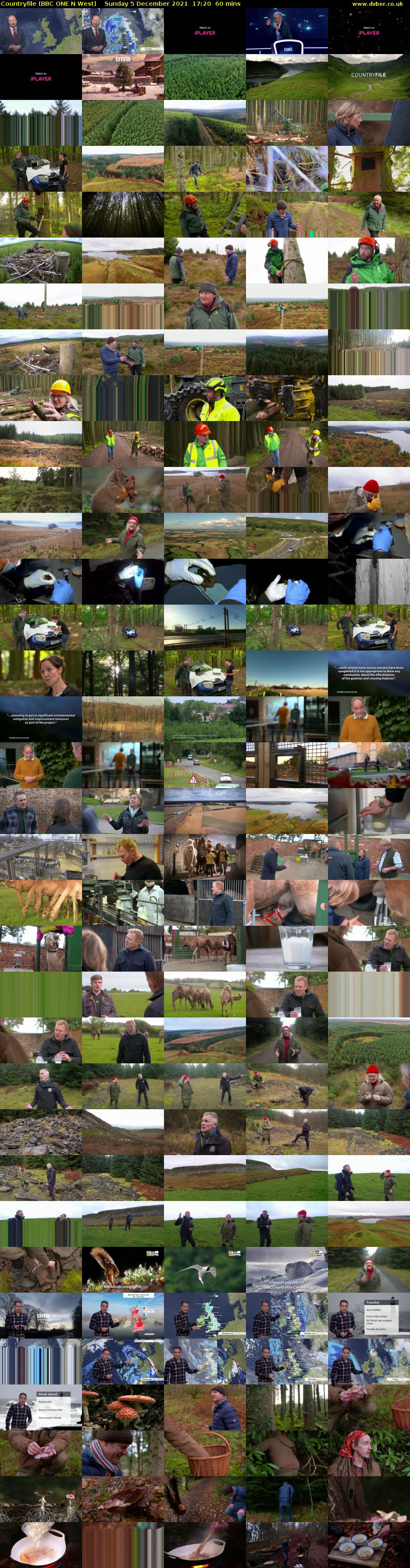 Countryfile (BBC ONE N West) Sunday 5 December 2021 17:20 - 18:20