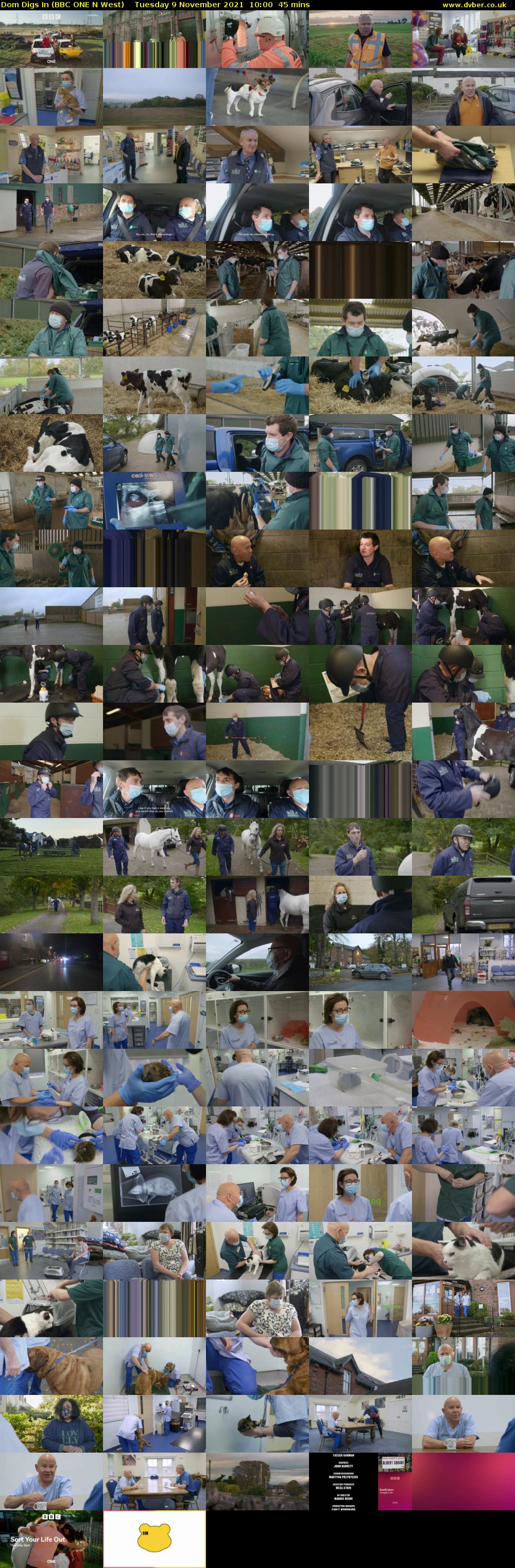 Dom Digs In (BBC ONE N West) Tuesday 9 November 2021 10:00 - 10:45