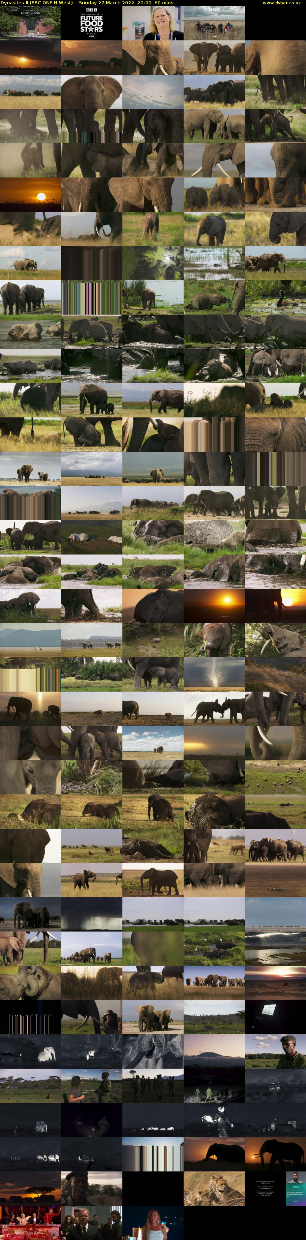Dynasties II (BBC ONE N West) Sunday 27 March 2022 20:00 - 21:00