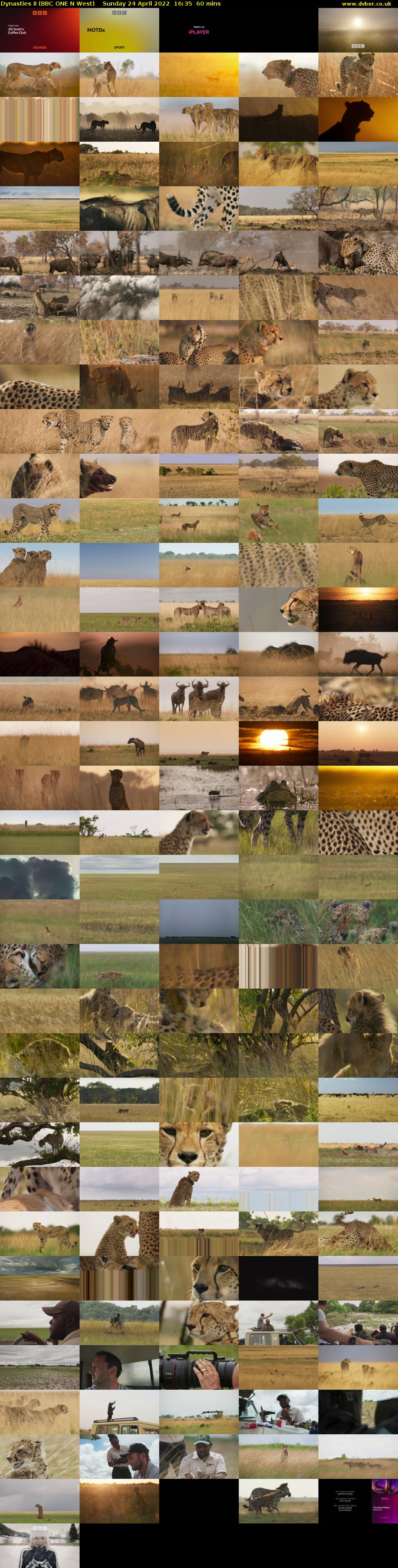 Dynasties II (BBC ONE N West) Sunday 24 April 2022 16:35 - 17:35