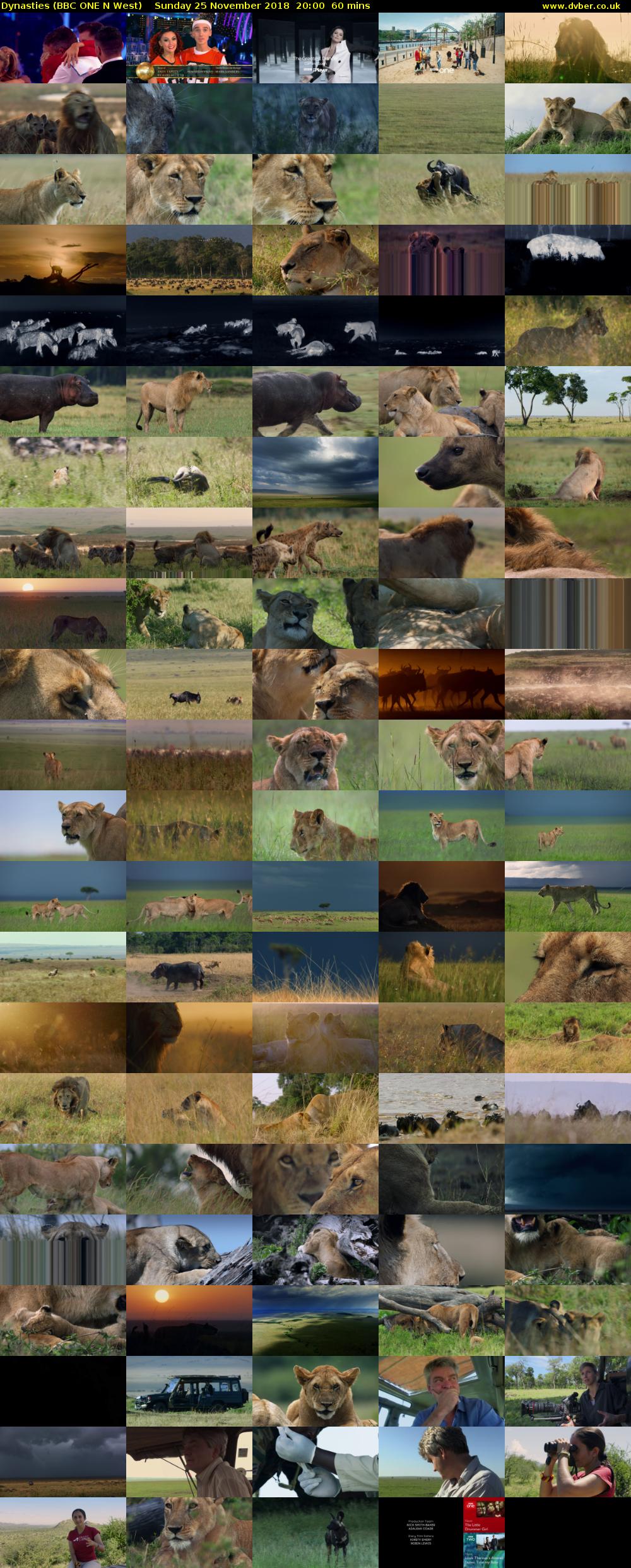 Dynasties (BBC ONE N West) Sunday 25 November 2018 20:00 - 21:00