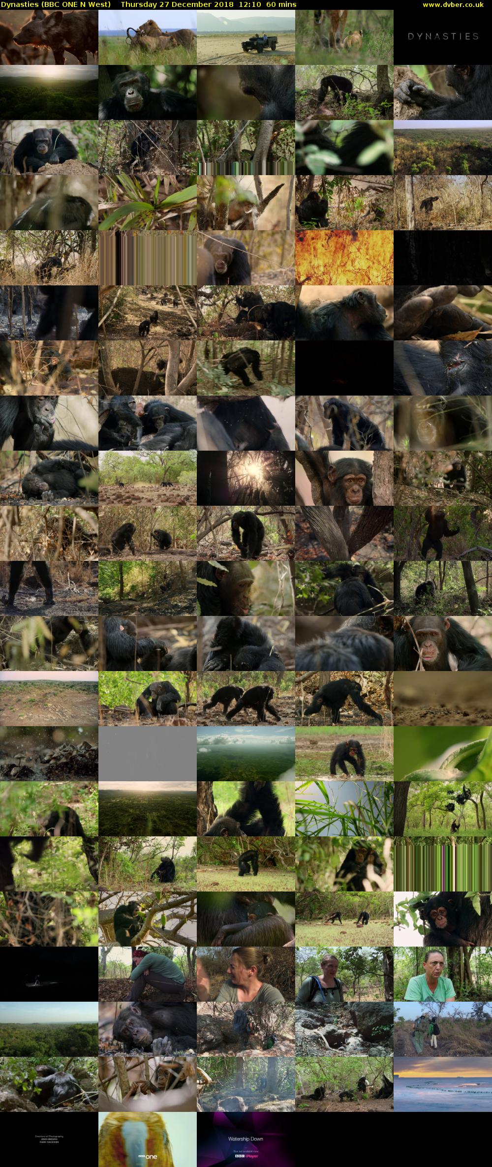 Dynasties (BBC ONE N West) Thursday 27 December 2018 12:10 - 13:10