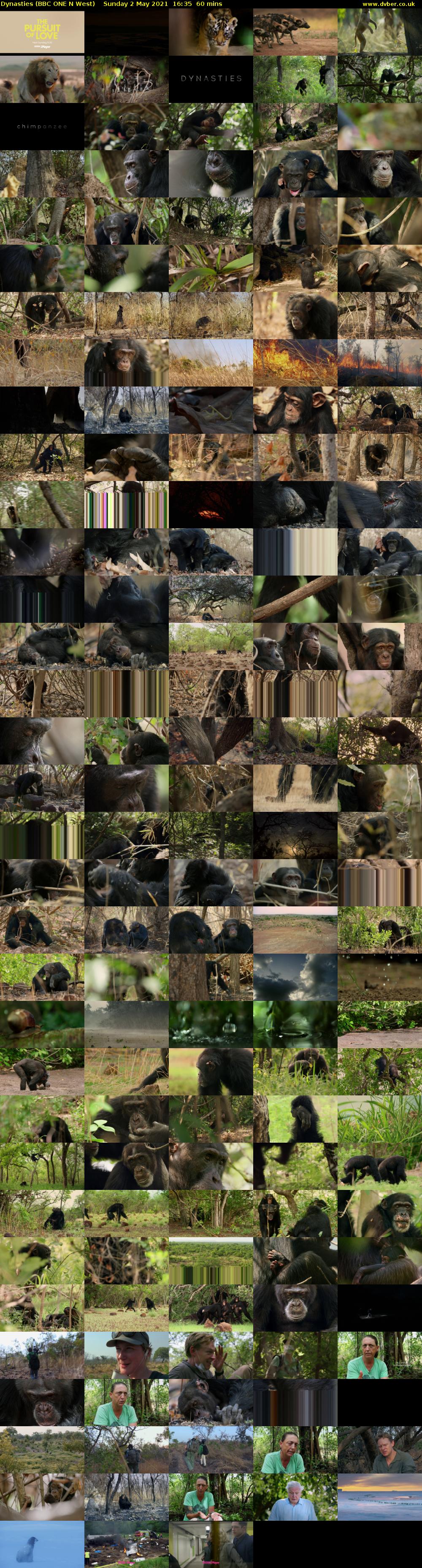 Dynasties (BBC ONE N West) Sunday 2 May 2021 16:35 - 17:35