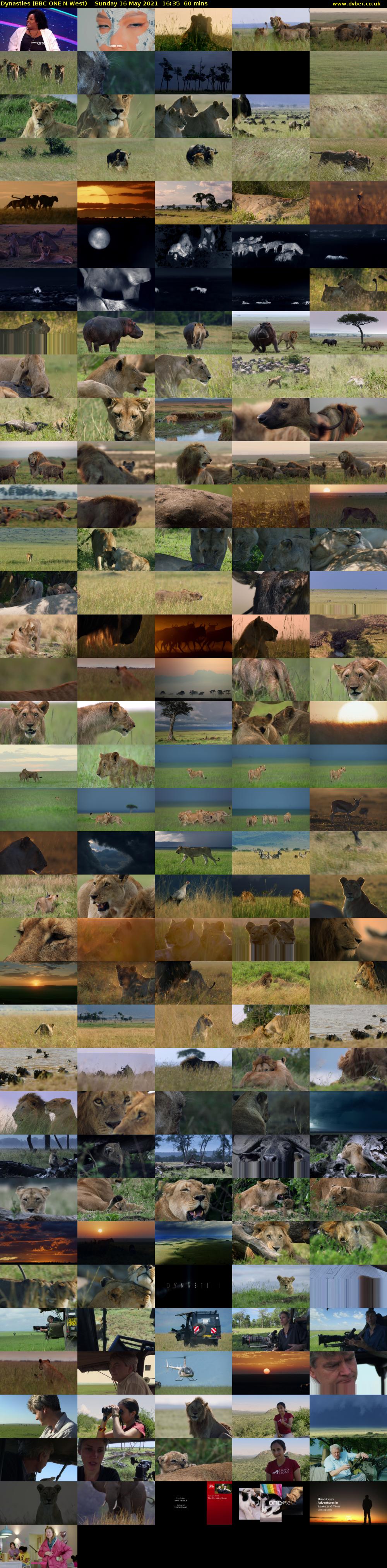 Dynasties (BBC ONE N West) Sunday 16 May 2021 16:35 - 17:35