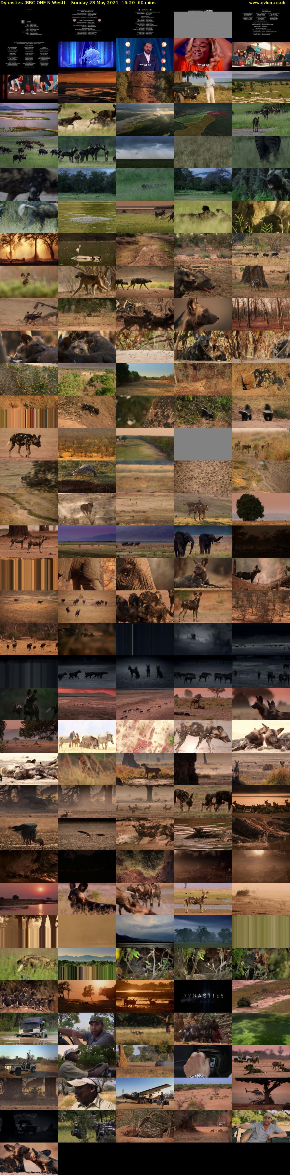 Dynasties (BBC ONE N West) Sunday 23 May 2021 16:20 - 17:20