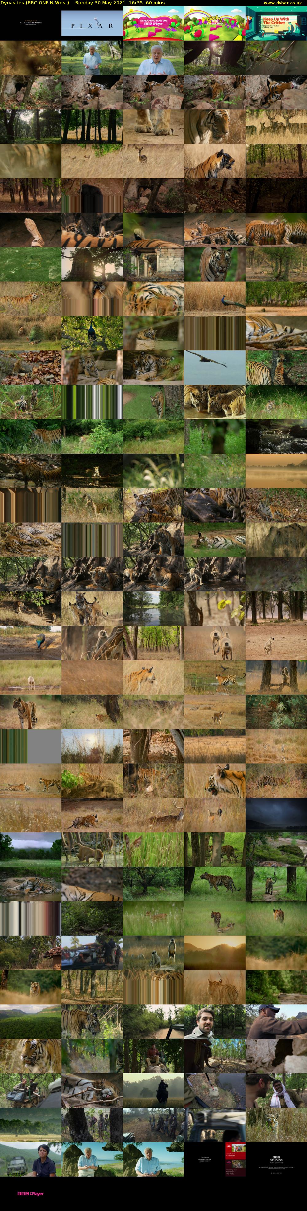 Dynasties (BBC ONE N West) Sunday 30 May 2021 16:35 - 17:35