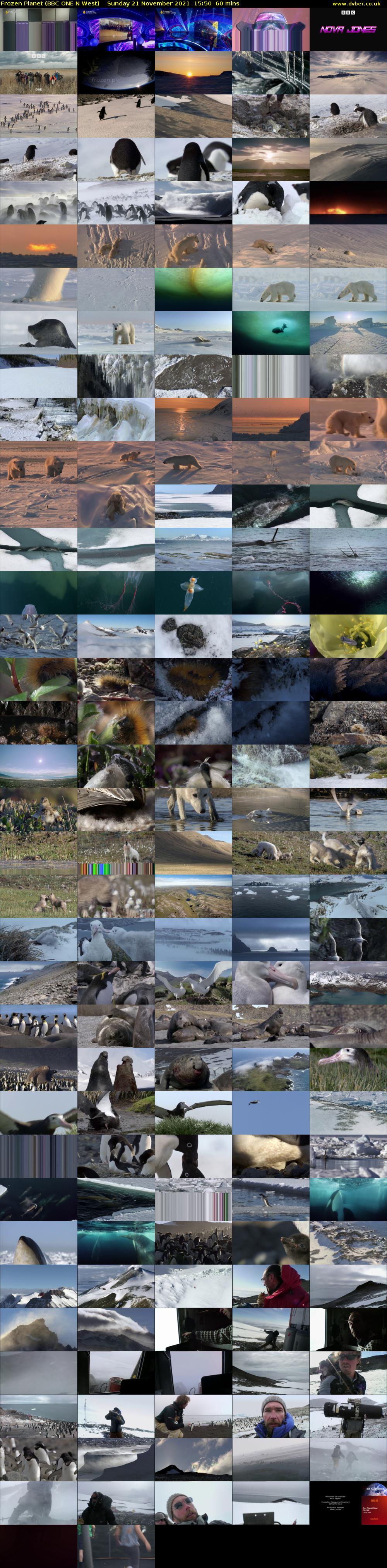 Frozen Planet (BBC ONE N West) Sunday 21 November 2021 15:50 - 16:50