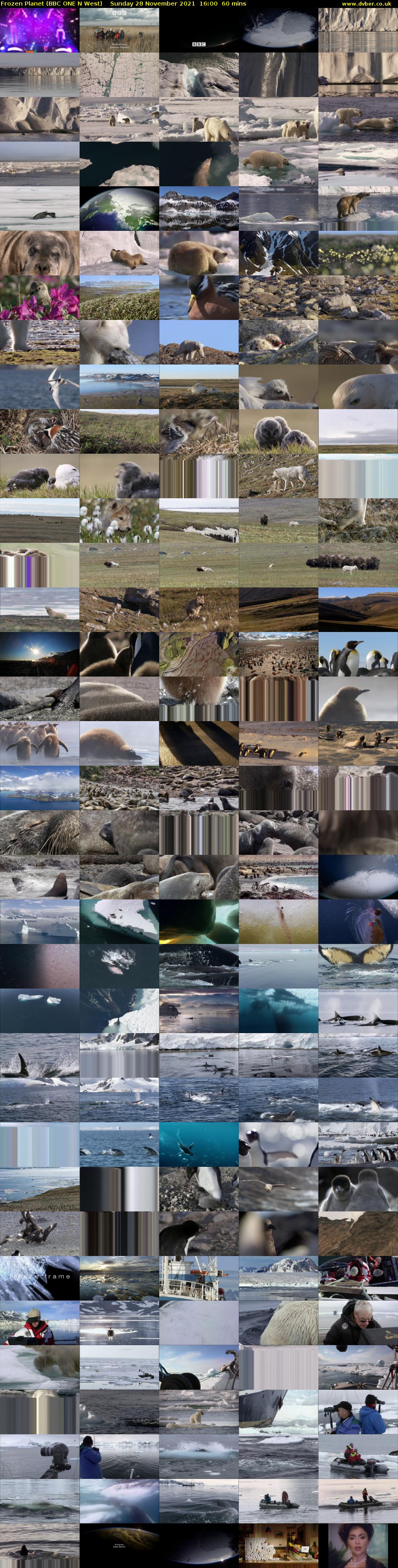 Frozen Planet (BBC ONE N West) Sunday 28 November 2021 16:00 - 17:00