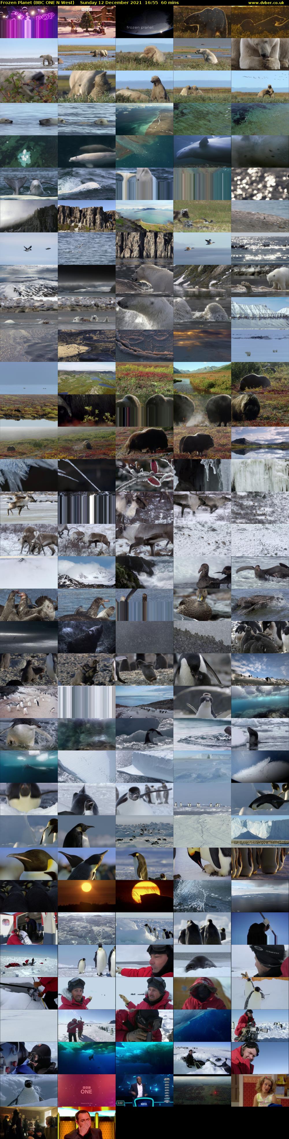 Frozen Planet (BBC ONE N West) Sunday 12 December 2021 16:55 - 17:55