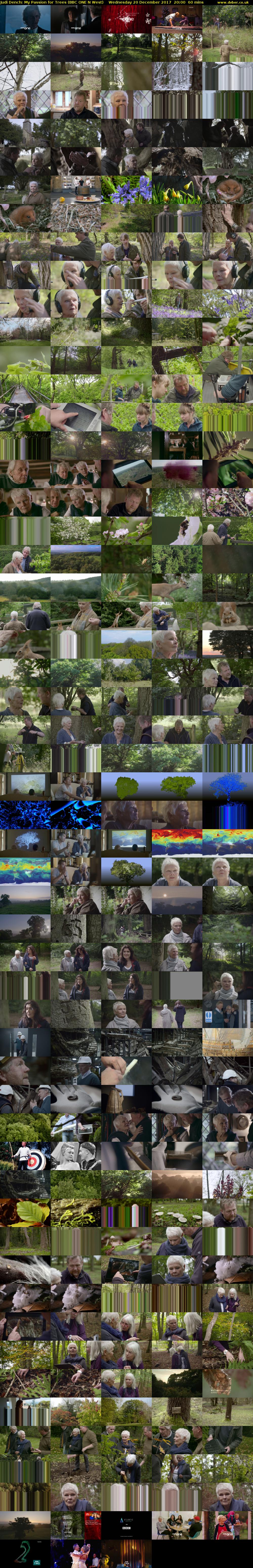 Judi Dench: My Passion for Trees (BBC ONE N West) Wednesday 20 December 2017 20:00 - 21:00