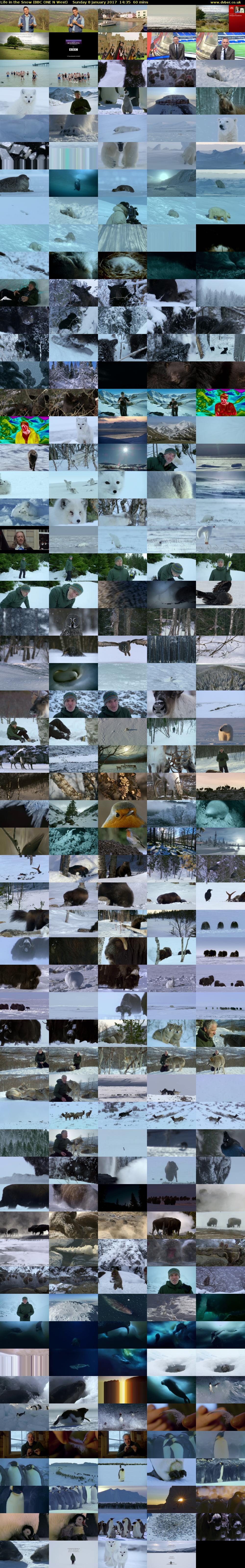 Life in the Snow (BBC ONE N West) Sunday 8 January 2017 14:35 - 15:35