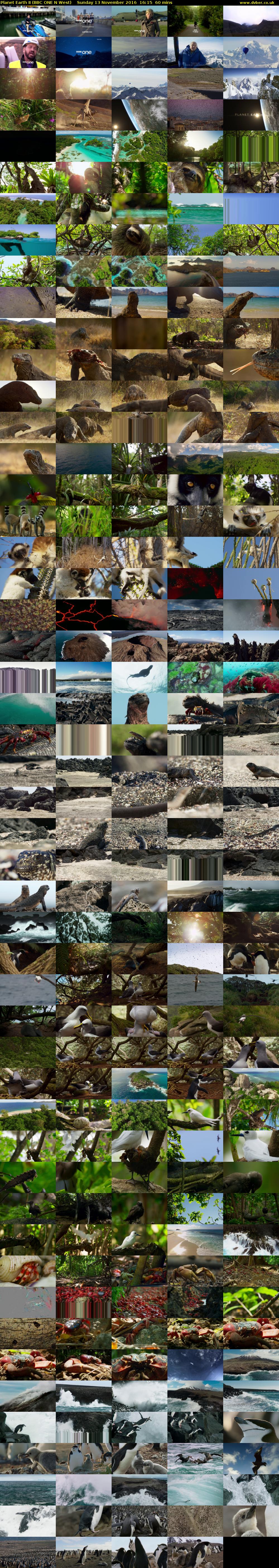 Planet Earth II (BBC ONE N West) Sunday 13 November 2016 16:15 - 17:15