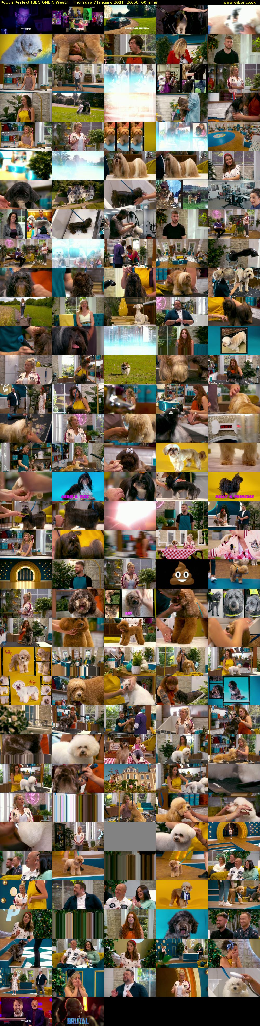 Pooch Perfect (BBC ONE N West) Thursday 7 January 2021 20:00 - 21:00