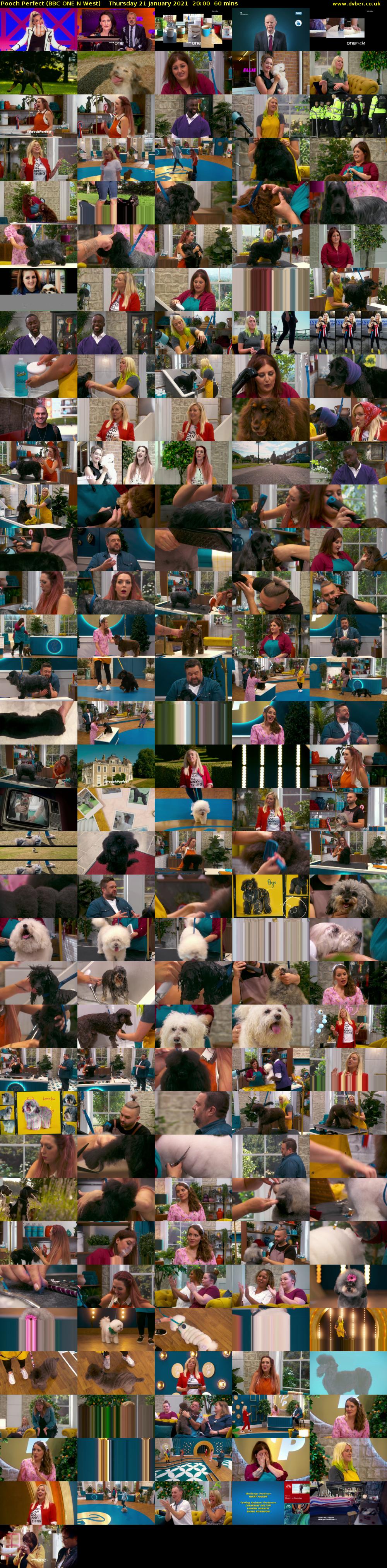 Pooch Perfect (BBC ONE N West) Thursday 21 January 2021 20:00 - 21:00