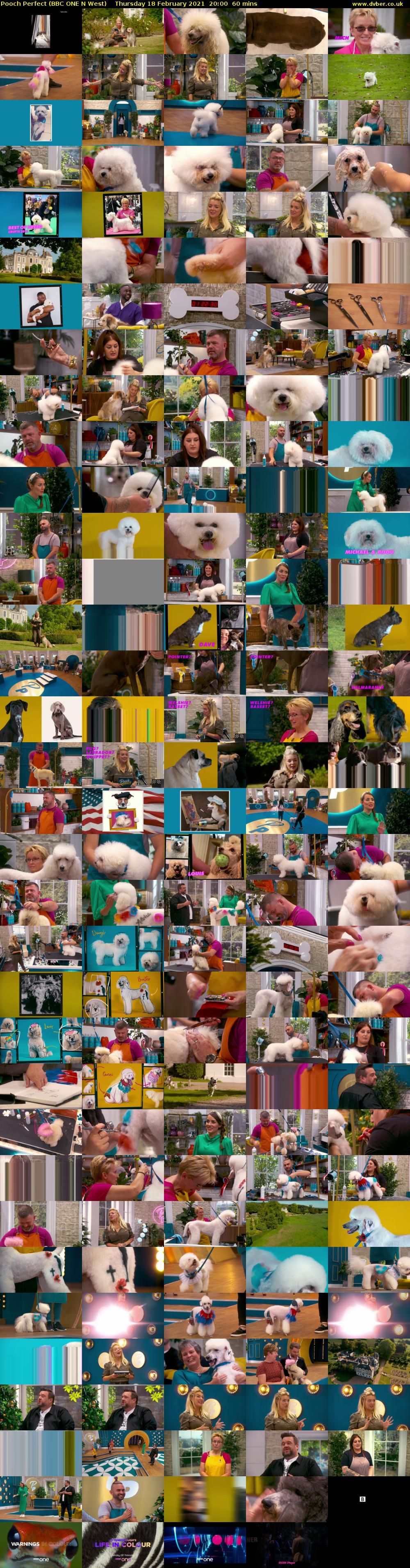 Pooch Perfect (BBC ONE N West) Thursday 18 February 2021 20:00 - 21:00