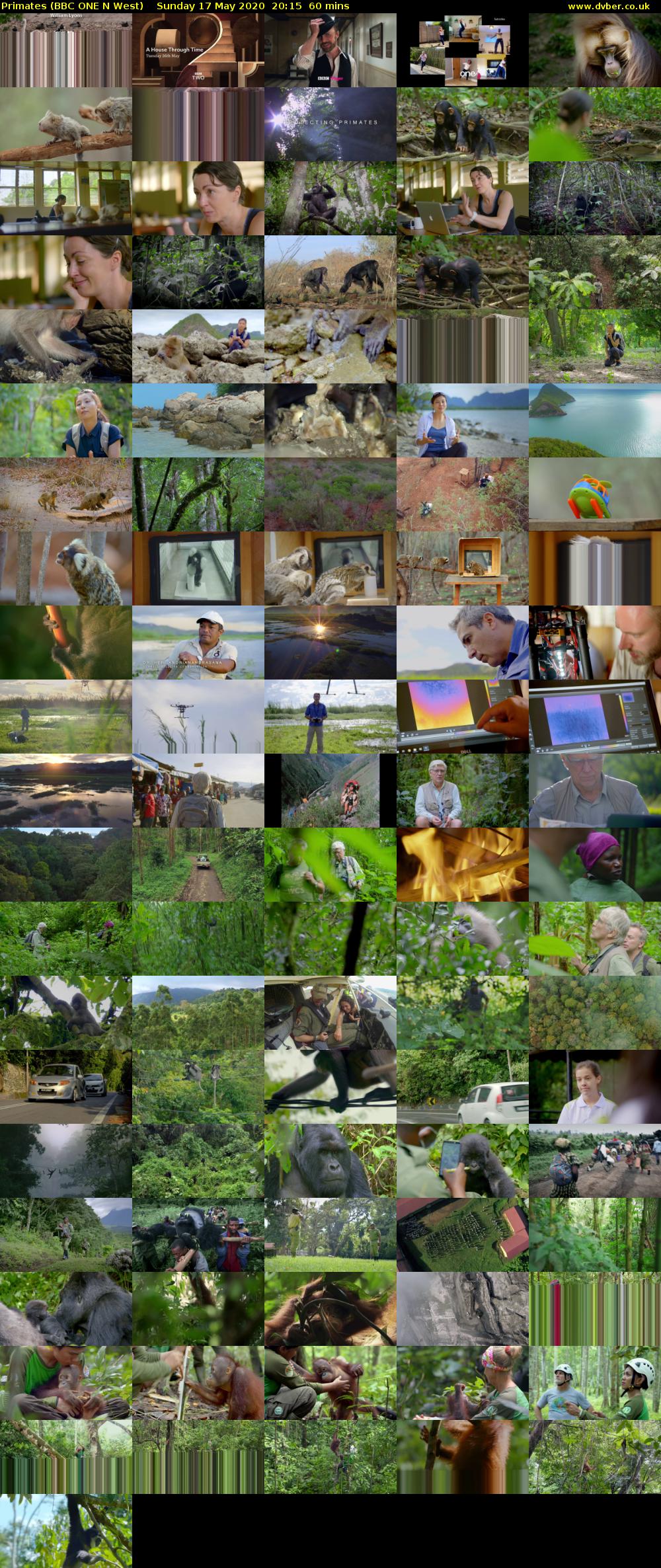Primates (BBC ONE N West) Sunday 17 May 2020 20:15 - 21:15