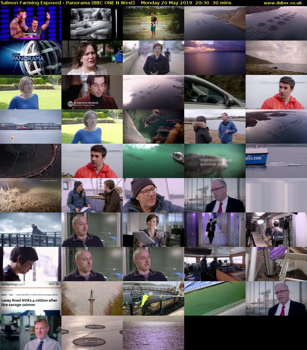 Salmon Farming Exposed - Panorama (BBC ONE N West) Monday 20 May 2019 20:30 - 21:00
