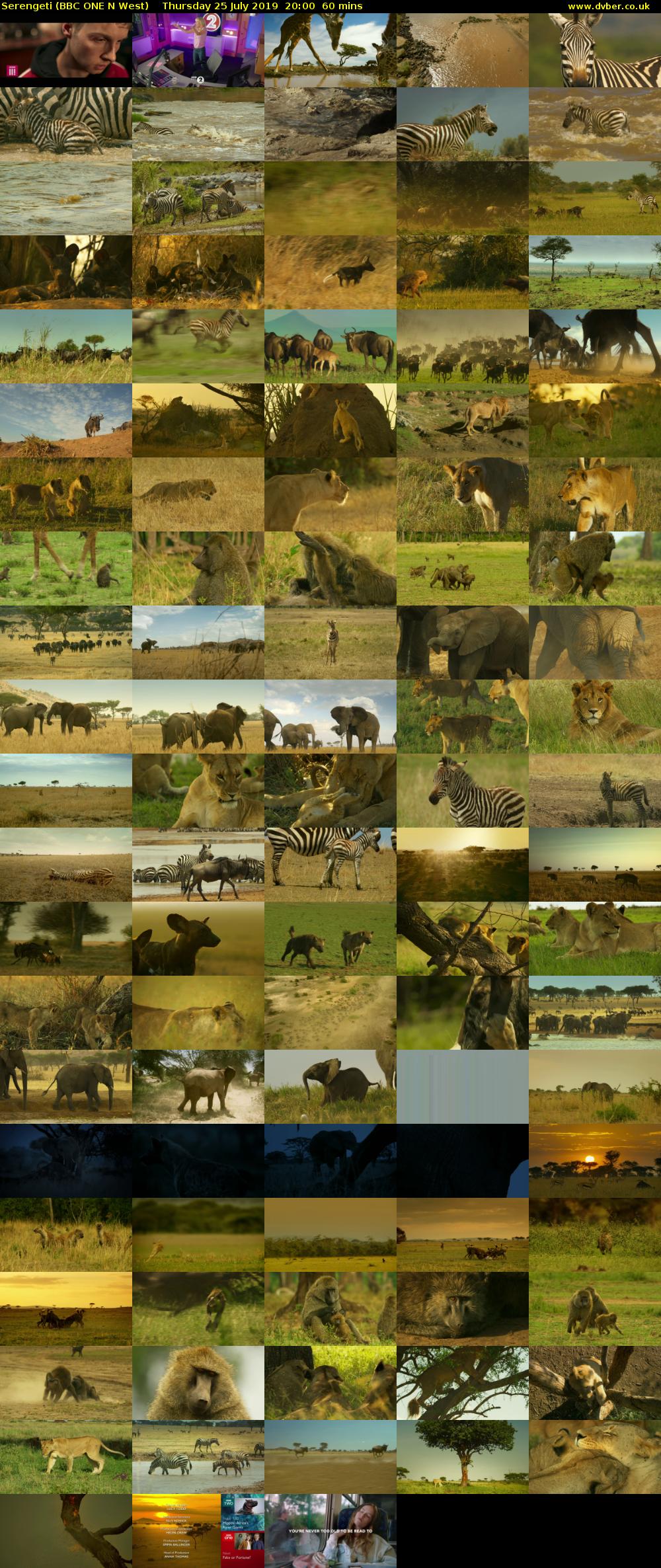 Serengeti (BBC ONE N West) Thursday 25 July 2019 20:00 - 21:00