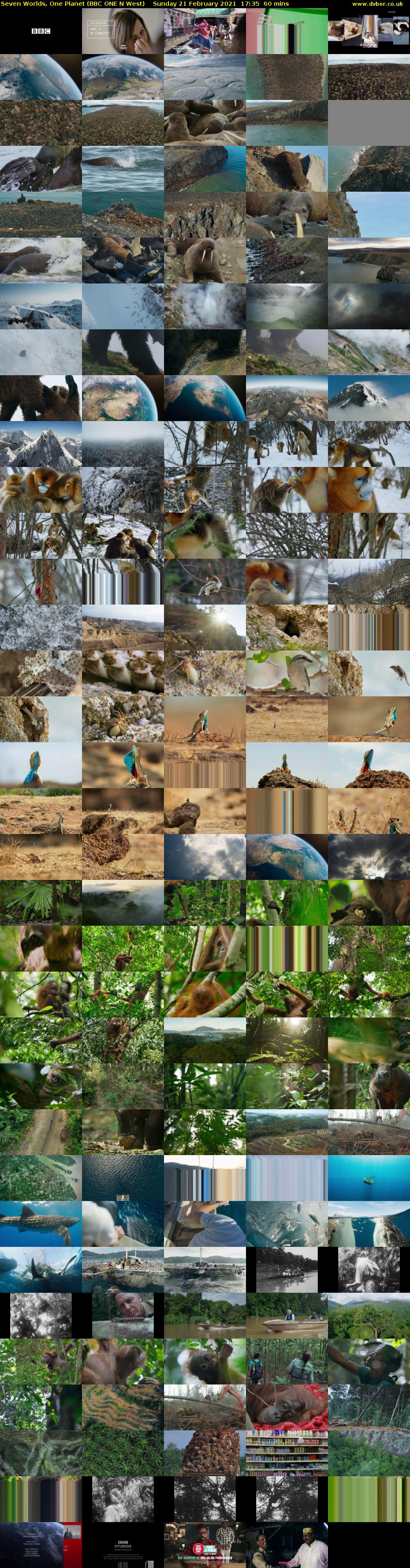 Seven Worlds, One Planet (BBC ONE N West) Sunday 21 February 2021 17:35 - 18:35