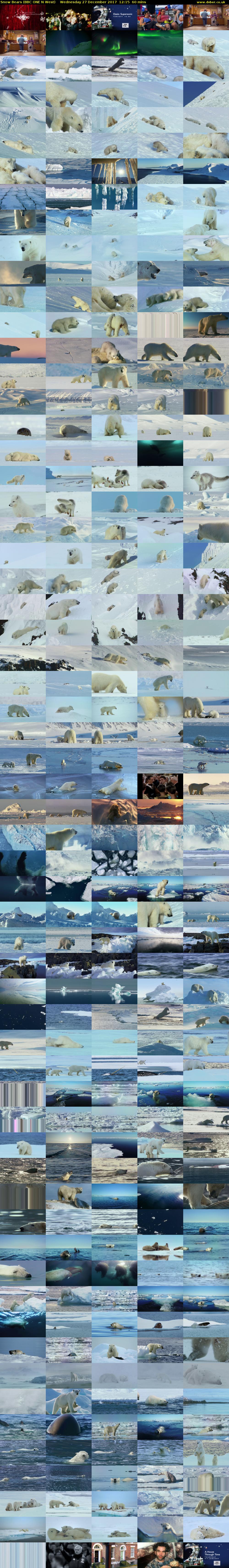 Snow Bears (BBC ONE N West) Wednesday 27 December 2017 12:15 - 13:15
