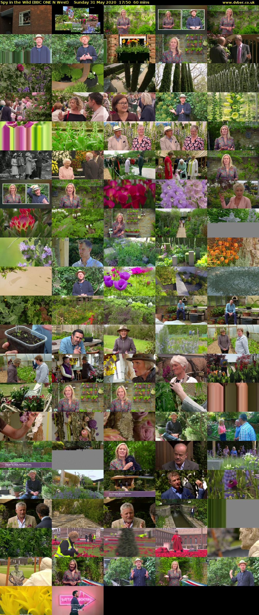 Spy in the Wild (BBC ONE N West) Sunday 31 May 2020 17:50 - 18:50