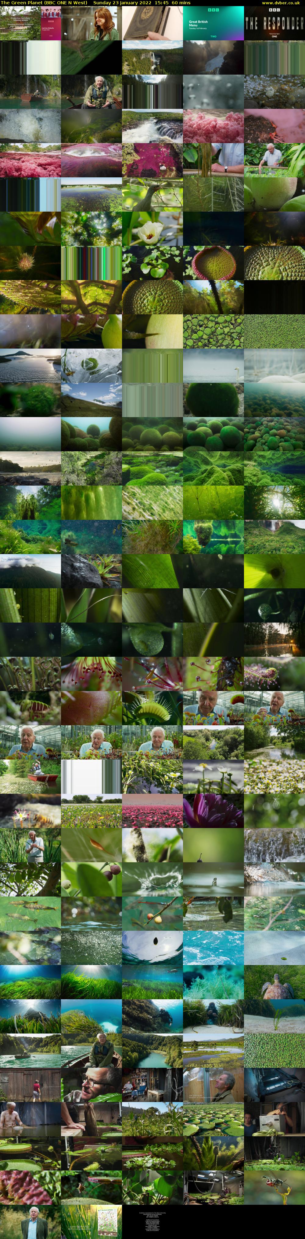 The Green Planet (BBC ONE N West) Sunday 23 January 2022 15:45 - 16:45