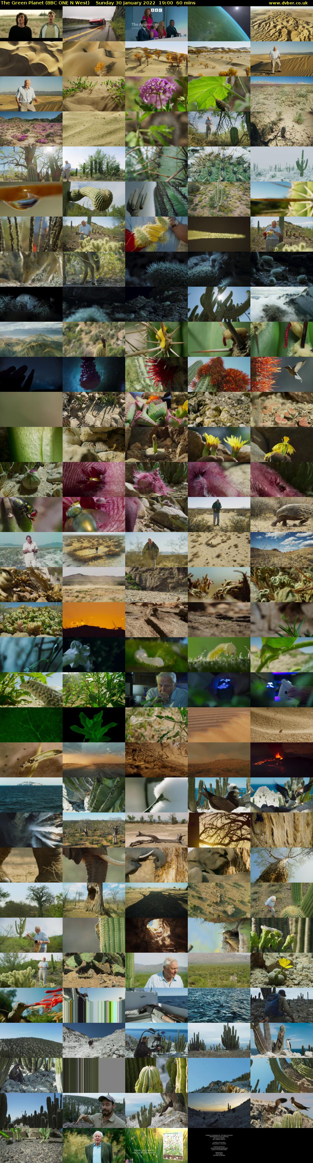The Green Planet (BBC ONE N West) Sunday 30 January 2022 19:00 - 20:00
