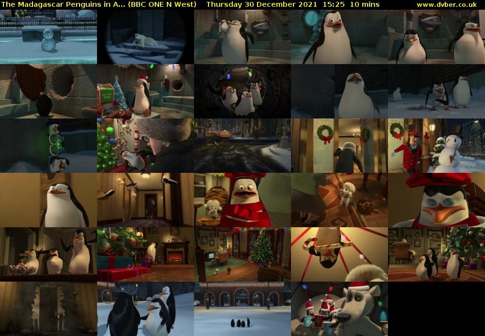 The Madagascar Penguins in A... (BBC ONE N West) Thursday 30 December 2021 15:25 - 15:35