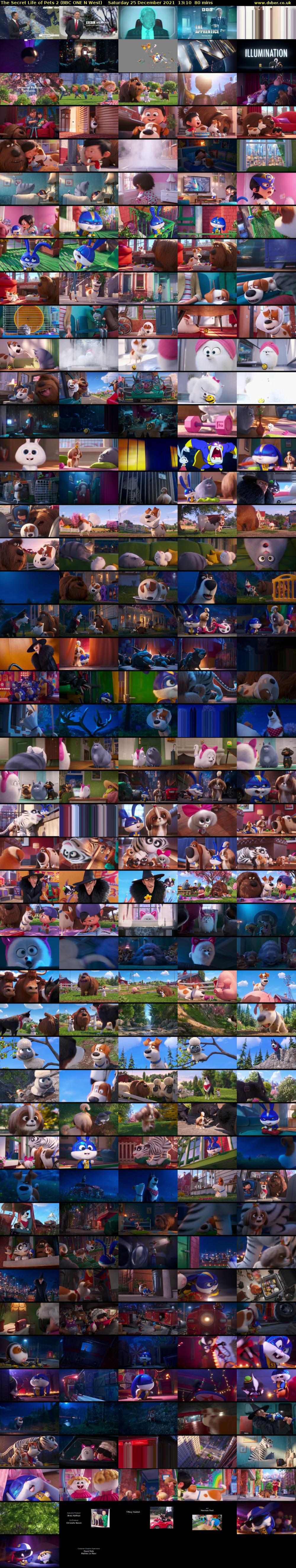 The Secret Life of Pets 2 (BBC ONE N West) Saturday 25 December 2021 13:10 - 14:30