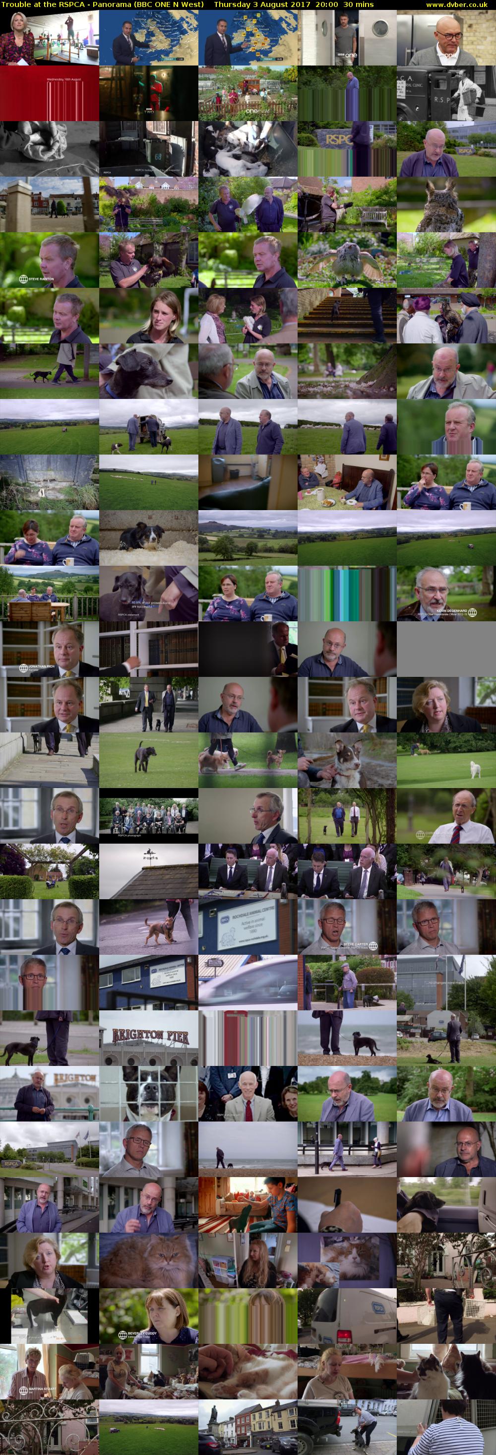Trouble at the RSPCA - Panorama (BBC ONE N West) Thursday 3 August 2017 20:00 - 20:30