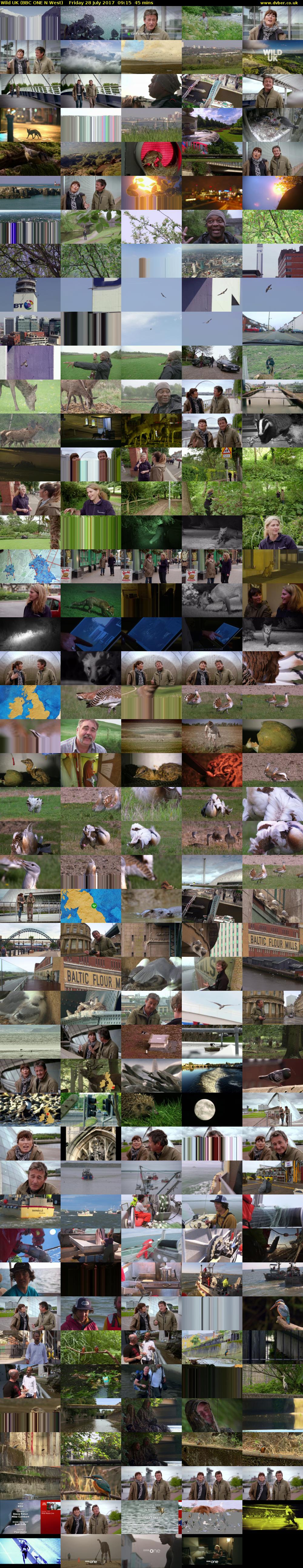 Wild UK (BBC ONE N West) Friday 28 July 2017 09:15 - 10:00