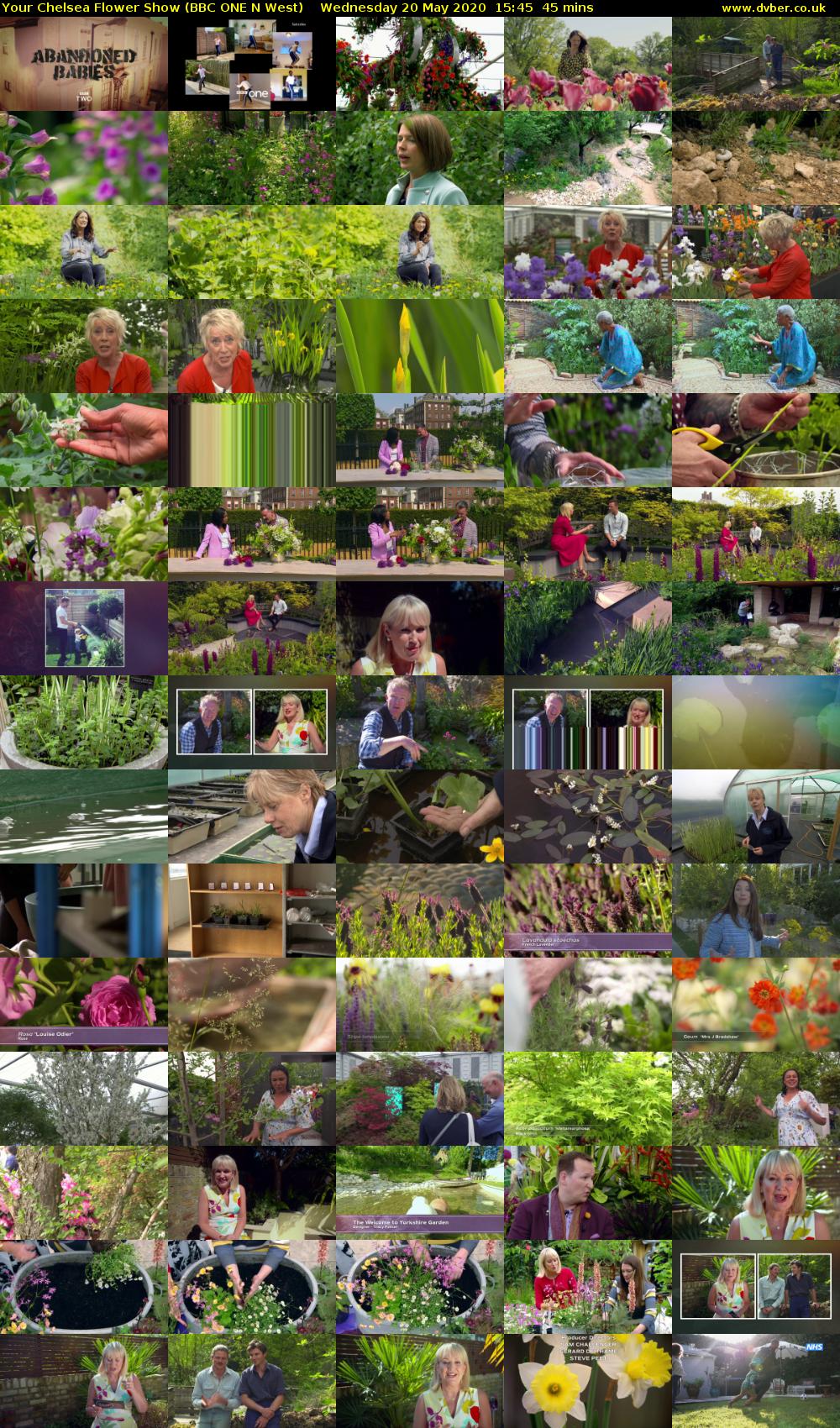 Your Chelsea Flower Show (BBC ONE N West) Wednesday 20 May 2020 15:45 - 16:30