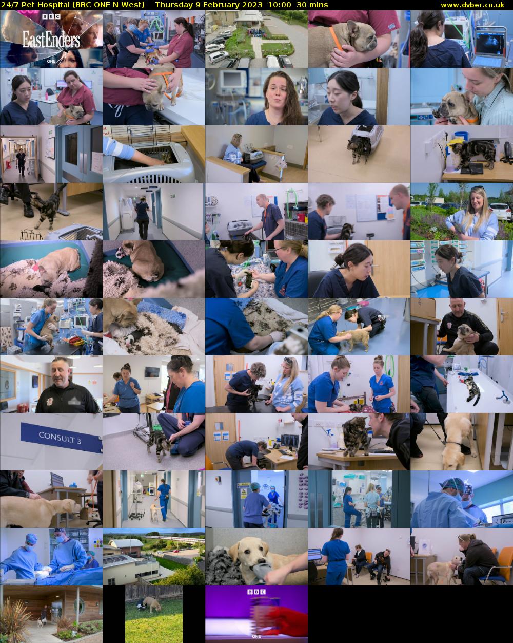24/7 Pet Hospital (BBC ONE N West) Thursday 9 February 2023 10:00 - 10:30