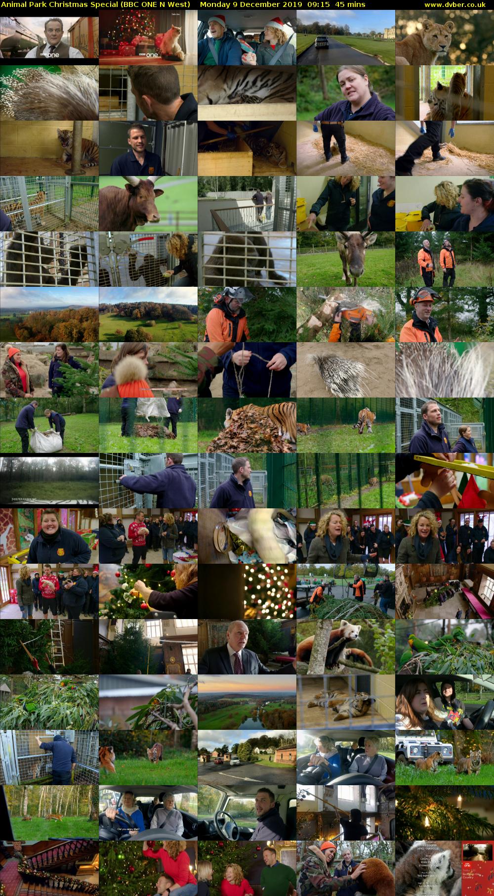 Animal Park Christmas Special (BBC ONE N West) Monday 9 December 2019 09:15 - 10:00