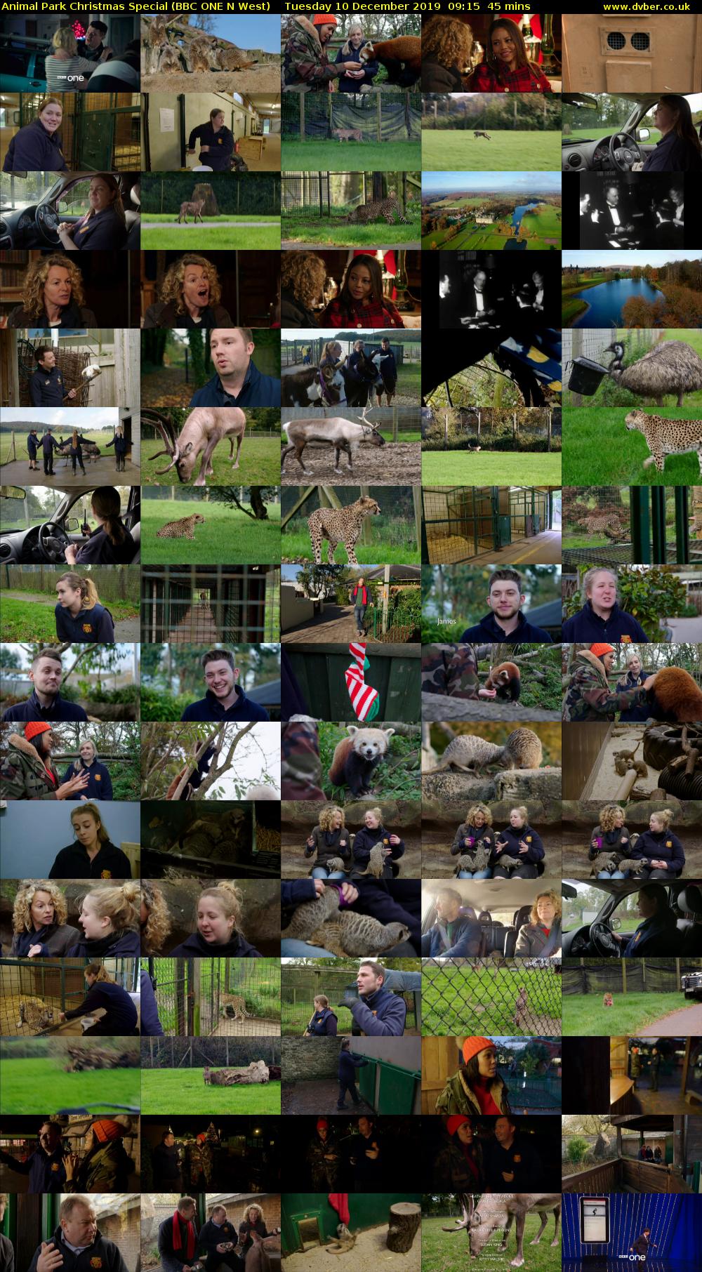 Animal Park Christmas Special (BBC ONE N West) Tuesday 10 December 2019 09:15 - 10:00