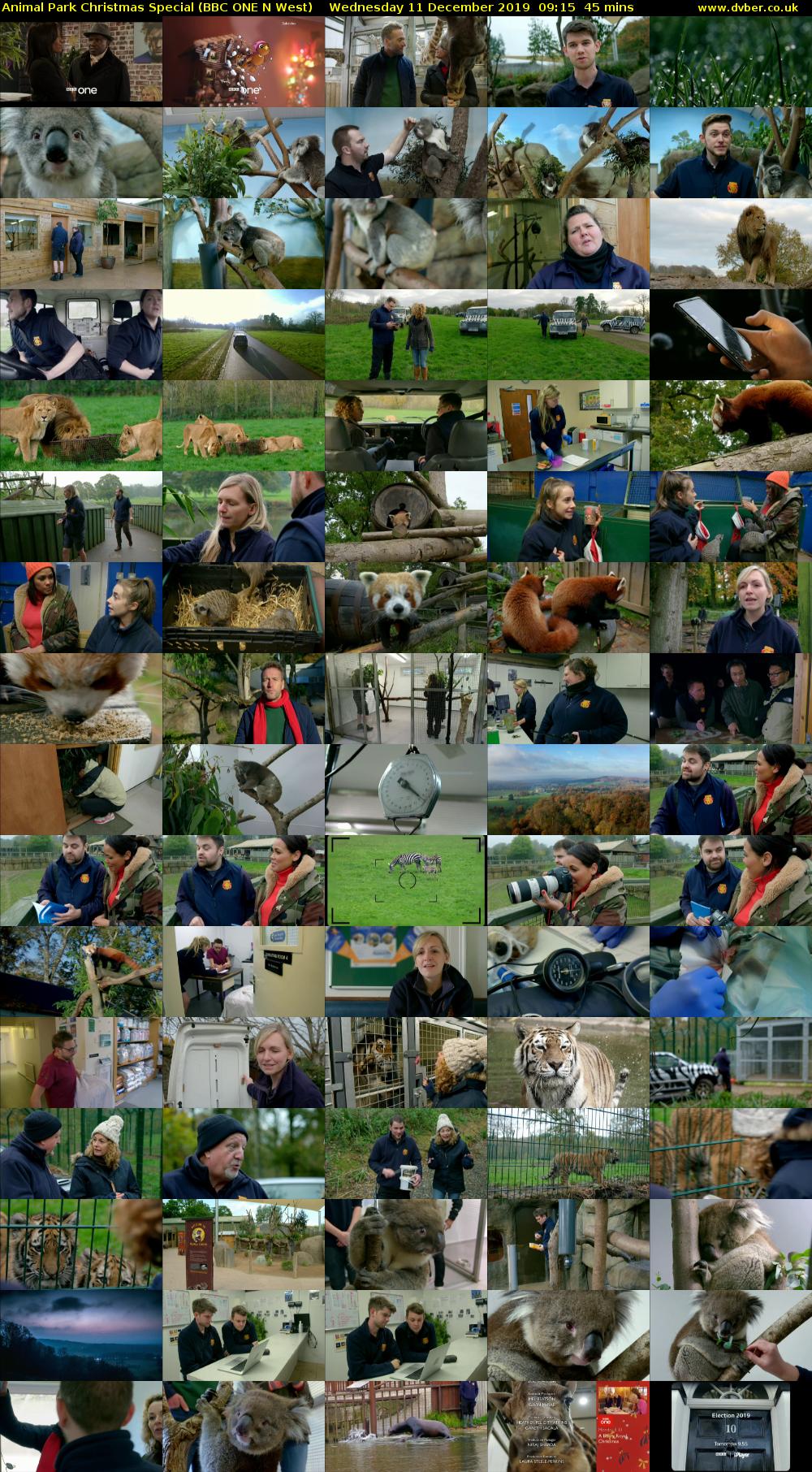 Animal Park Christmas Special (BBC ONE N West) Wednesday 11 December 2019 09:15 - 10:00