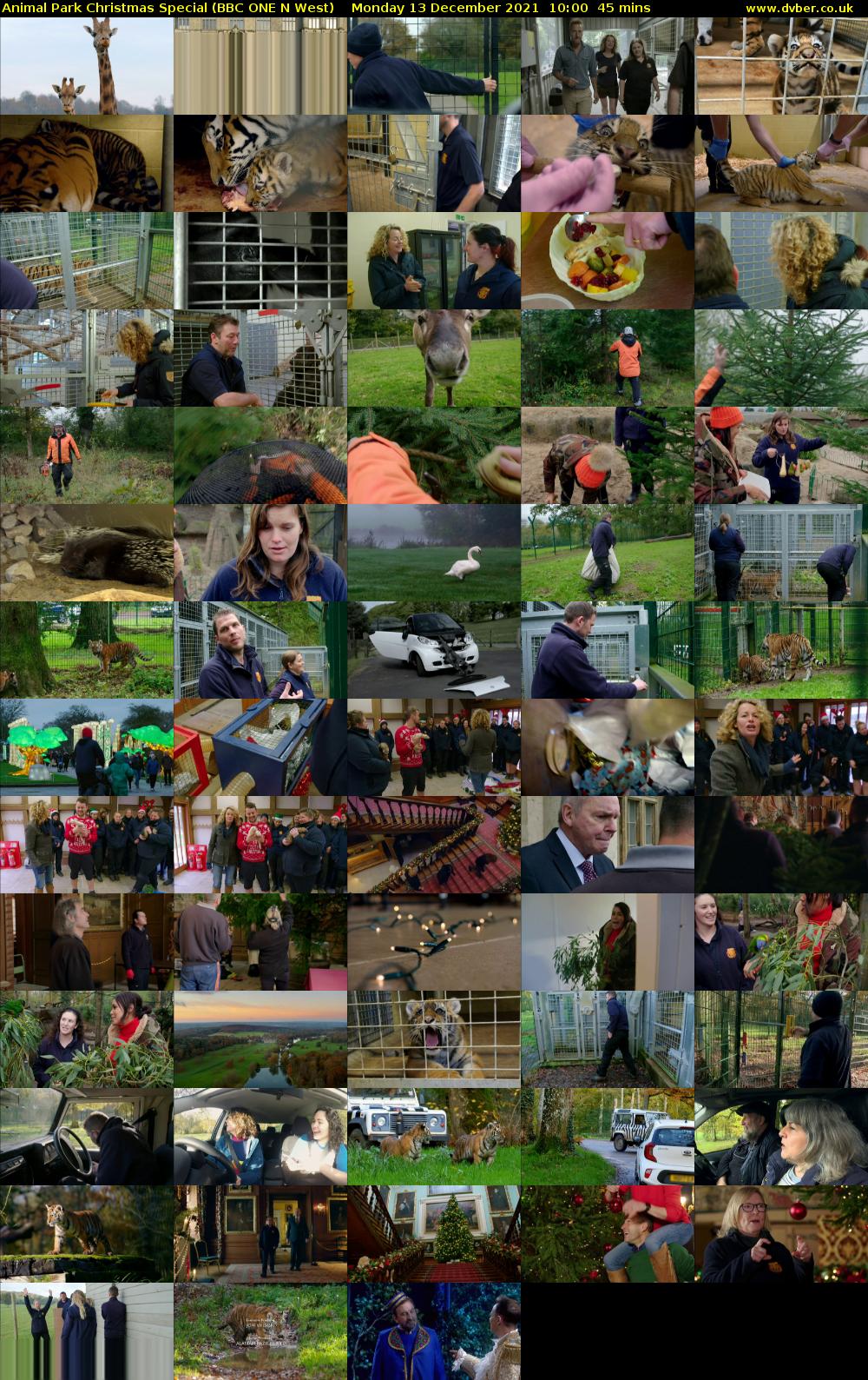 Animal Park Christmas Special (BBC ONE N West) Monday 13 December 2021 10:00 - 10:45