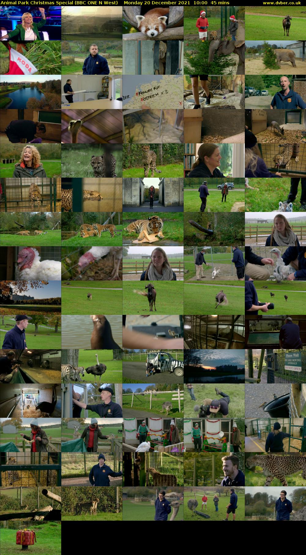 Animal Park Christmas Special (BBC ONE N West) Monday 20 December 2021 10:00 - 10:45