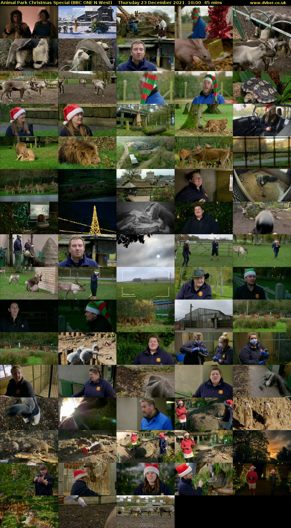 Animal Park Christmas Special (BBC ONE N West) Thursday 23 December 2021 10:00 - 10:45