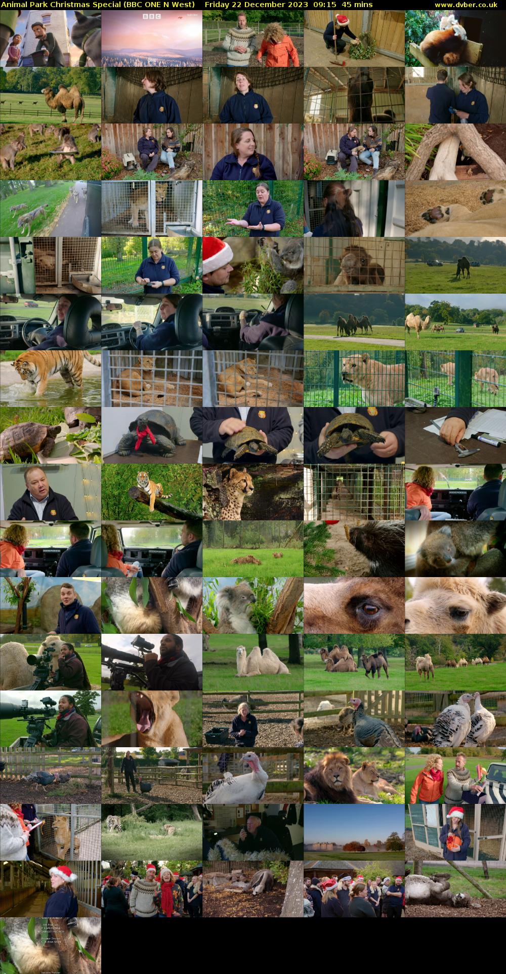 Animal Park Christmas Special (BBC ONE N West) Friday 22 December 2023 09:15 - 10:00