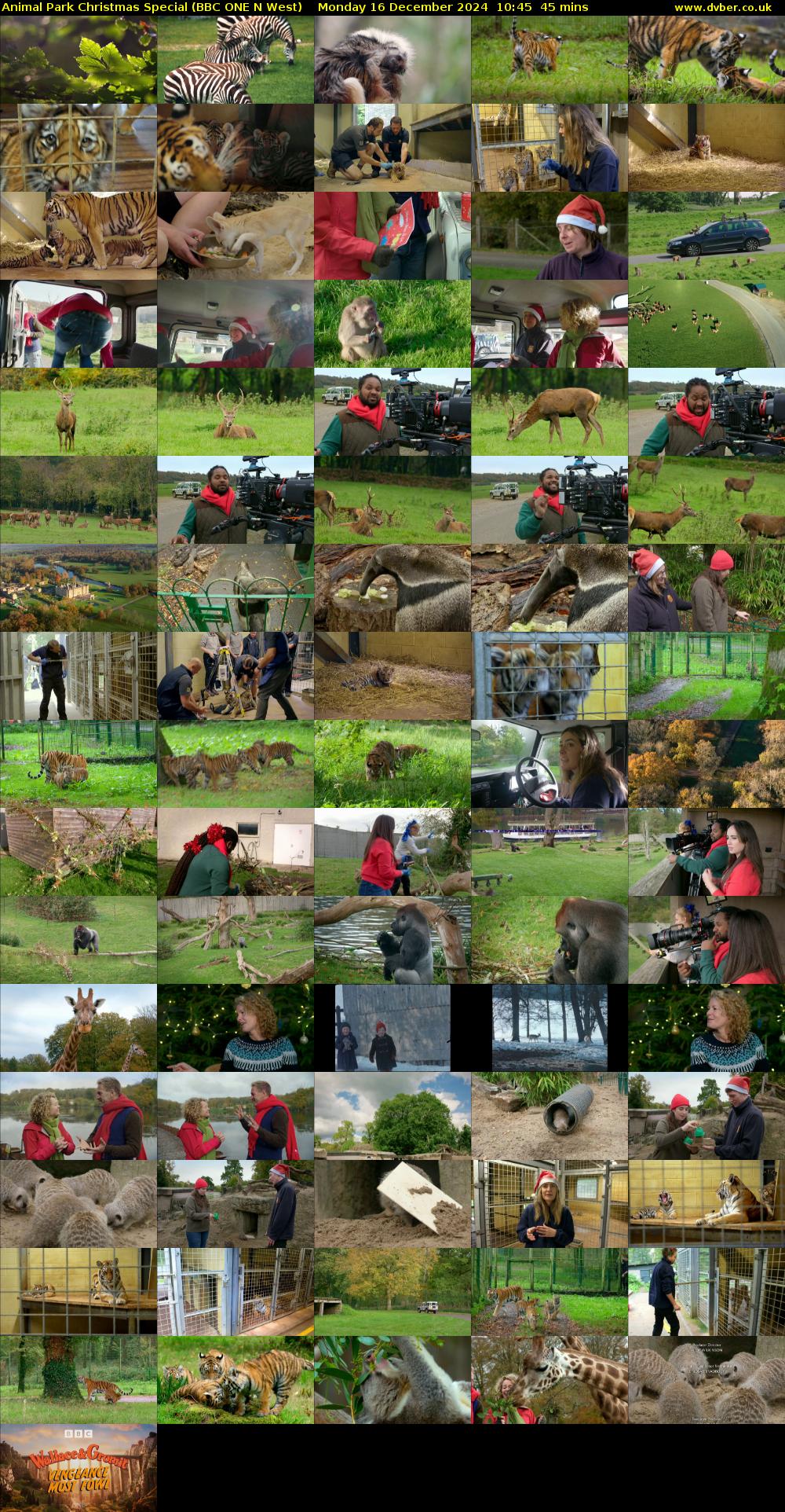 Animal Park Christmas Special (BBC ONE N West) Monday 16 December 2024 10:45 - 11:30
