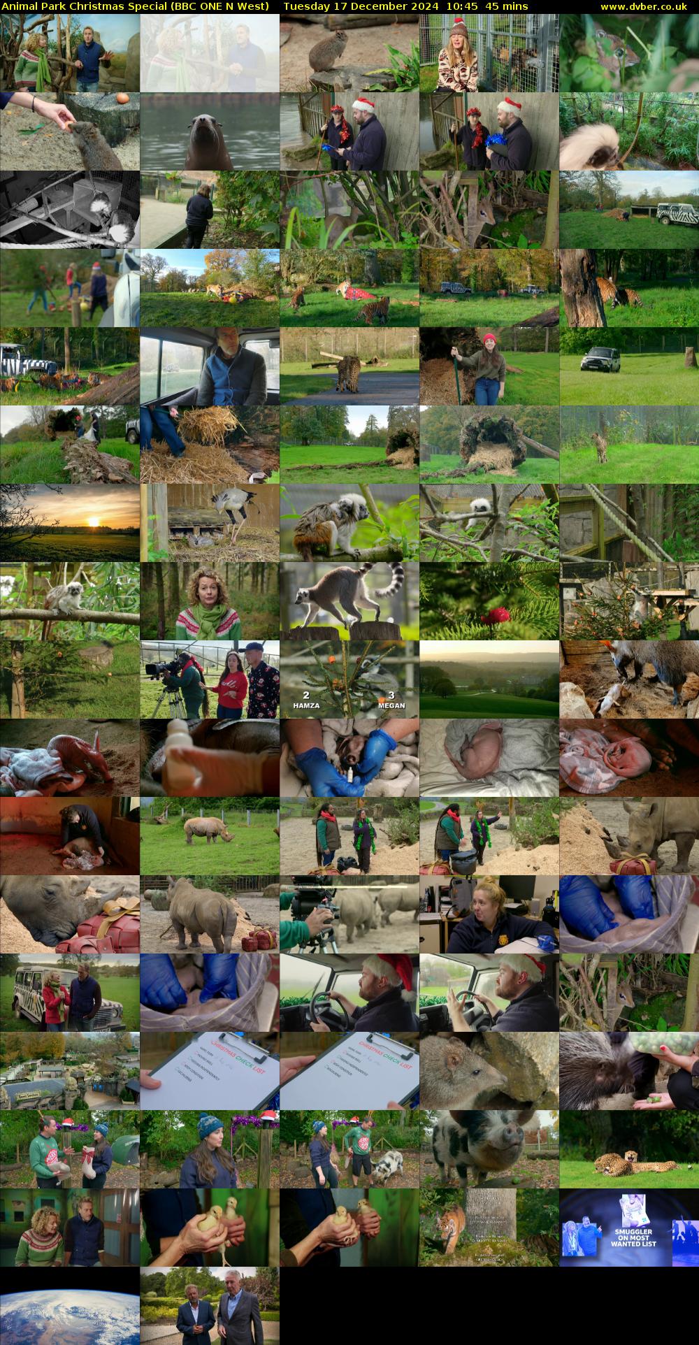 Animal Park Christmas Special (BBC ONE N West) Tuesday 17 December 2024 10:45 - 11:30