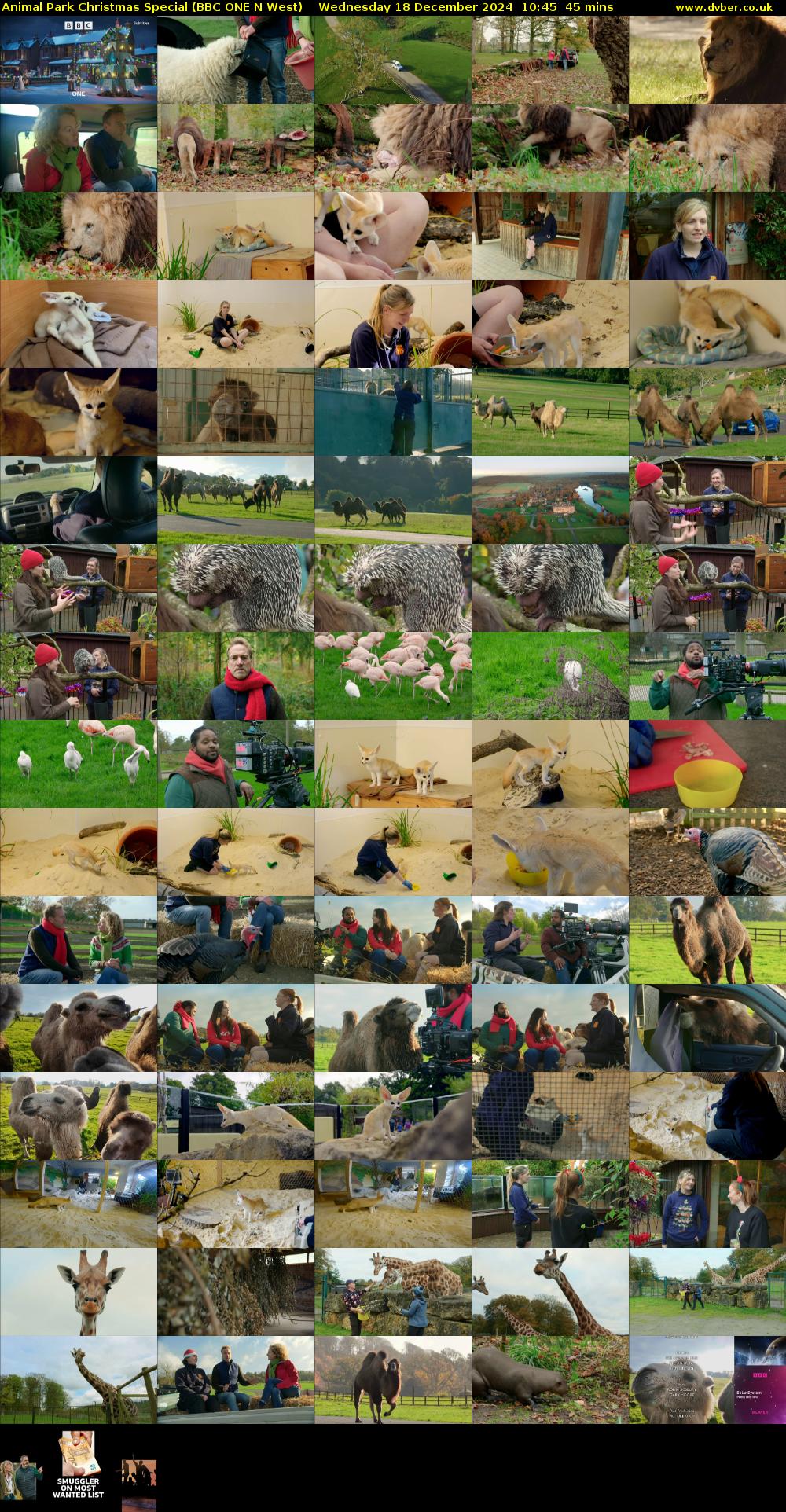 Animal Park Christmas Special (BBC ONE N West) Wednesday 18 December 2024 10:45 - 11:30