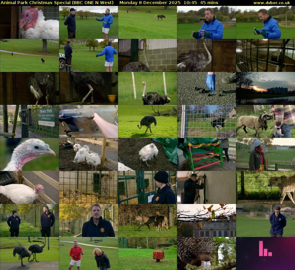 Animal Park Christmas Special (BBC ONE N West) Monday 8 December 2025 10:45 - 11:30