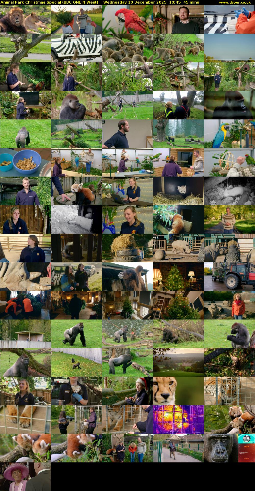Animal Park Christmas Special (BBC ONE N West) Wednesday 10 December 2025 10:45 - 11:30