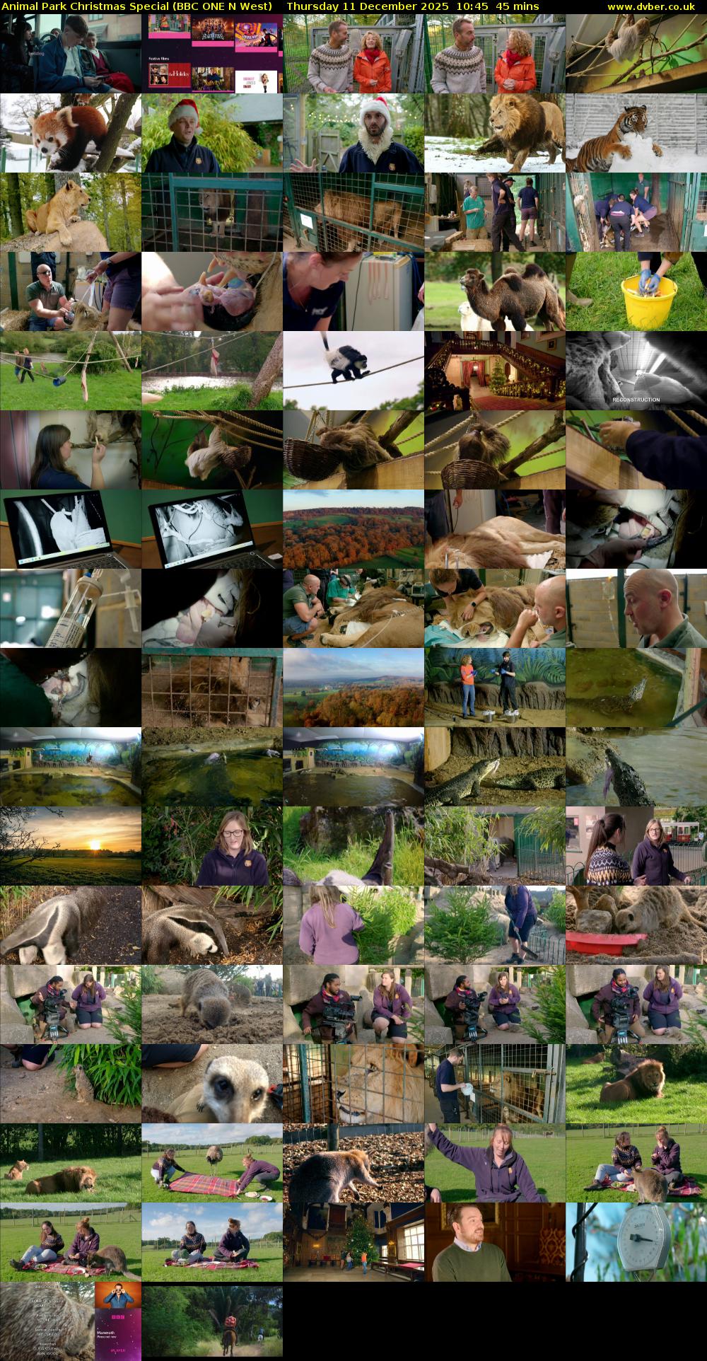 Animal Park Christmas Special (BBC ONE N West) Thursday 11 December 2025 10:45 - 11:30