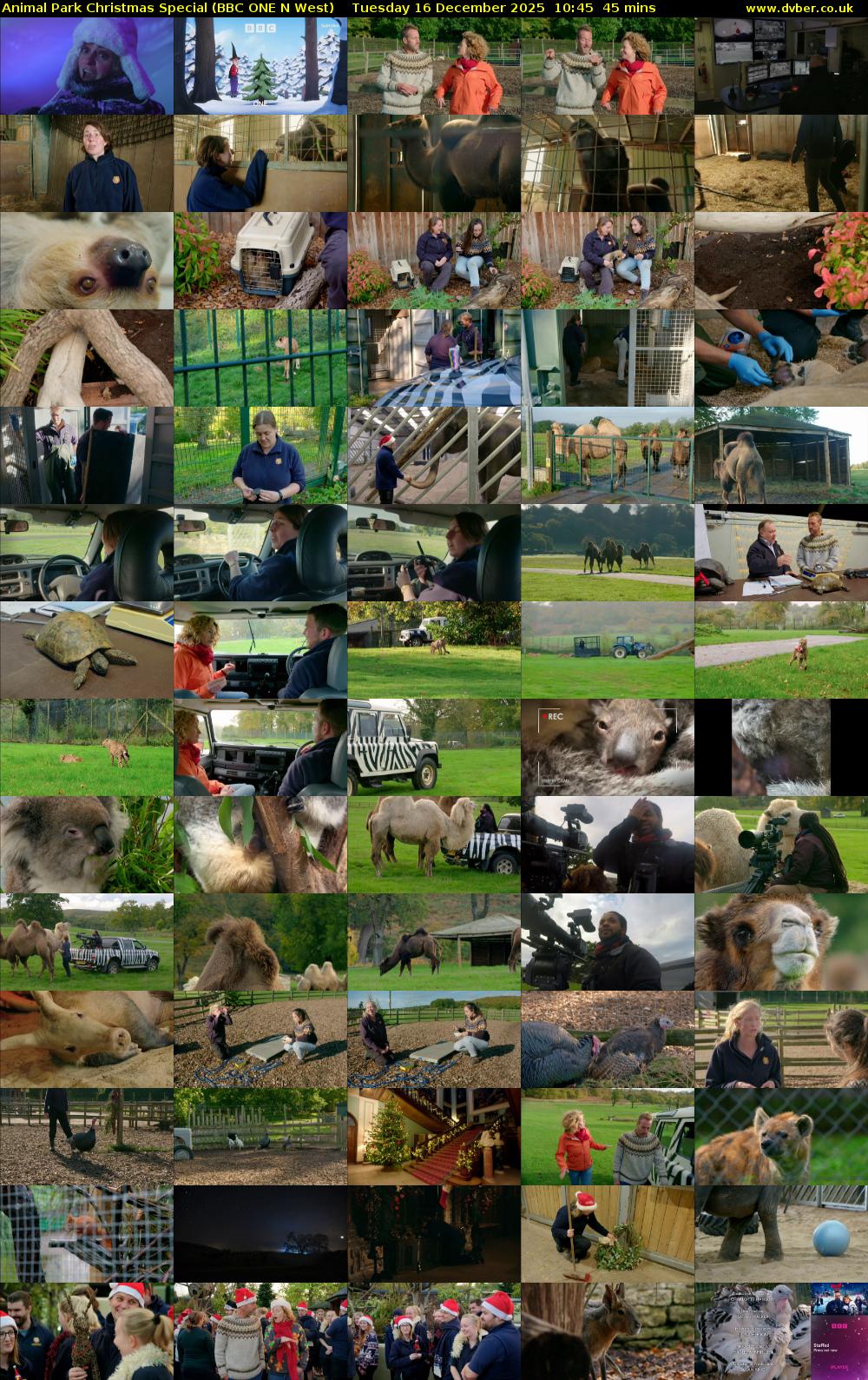 Animal Park Christmas Special (BBC ONE N West) Tuesday 16 December 2025 10:45 - 11:30